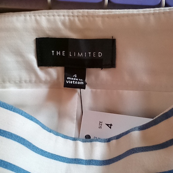 NWT The Limited Cream & Blue Mini Skirt - Size 4 - Picture 5 of 7